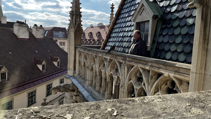 Falke am Dach von St. Stephan